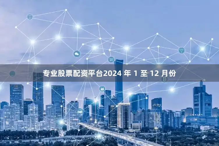 专业股票配资平台2024 年 1 至 12 月份