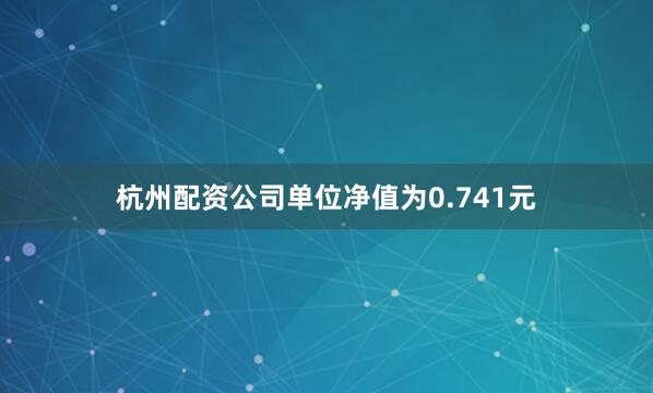 杭州配资公司单位净值为0.741元