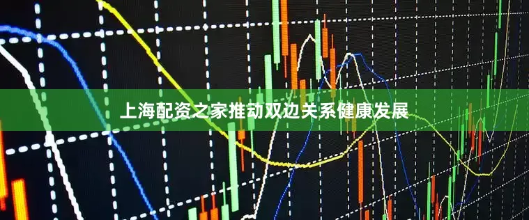 上海配资之家推动双边关系健康发展