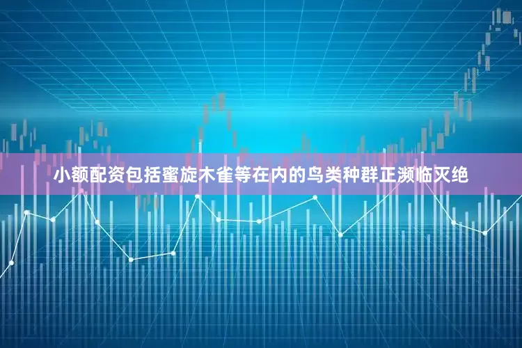 小额配资包括蜜旋木雀等在内的鸟类种群正濒临灭绝