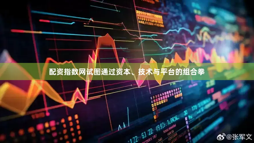 配资指数网试图通过资本、技术与平台的组合拳