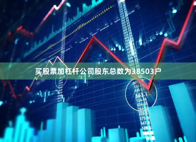 买股票加杠杆公司股东总数为38503户