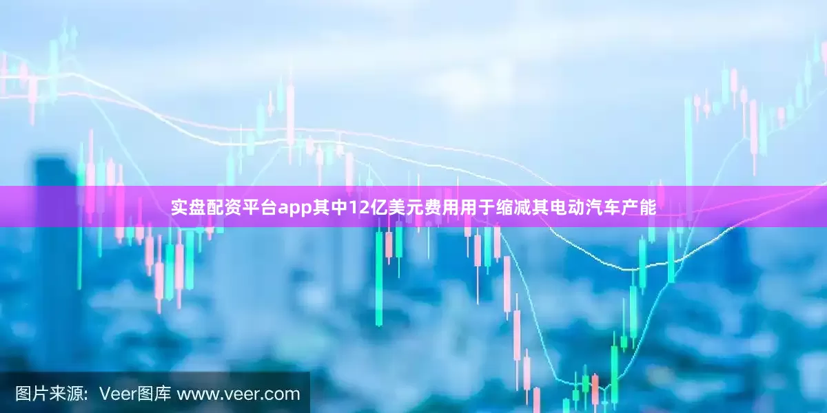 实盘配资平台app其中12亿美元费用用于缩减其电动汽车产能