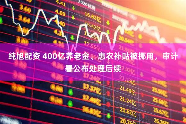纯旭配资 400亿养老金、惠农补贴被挪用，审计署公布处理后续
